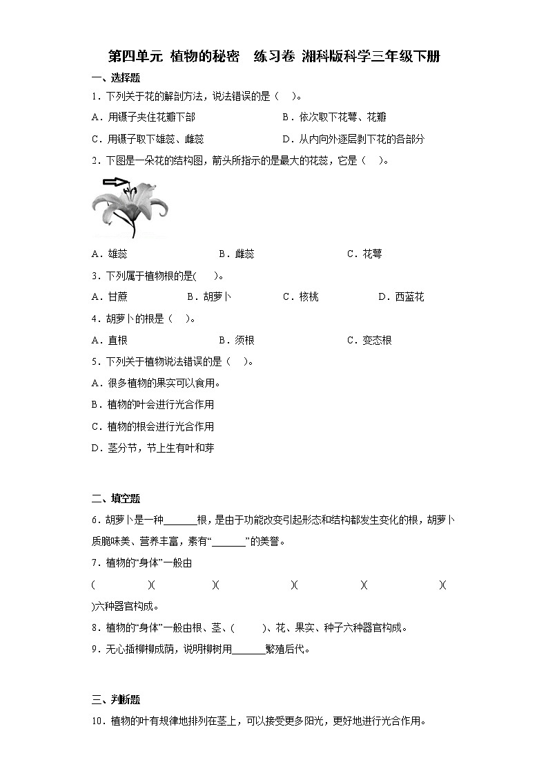 湘科版三年級下冊科學(xué)第四單元 植物的秘密 練習(xí)卷 (含答案)第1頁