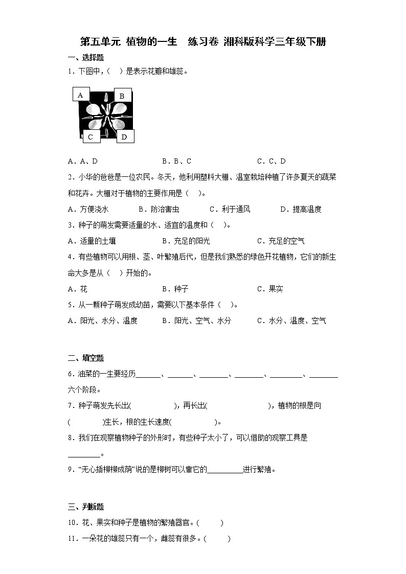 湘科版三年级下册科学第五单元 植物的一生 练习卷 (含答案)01