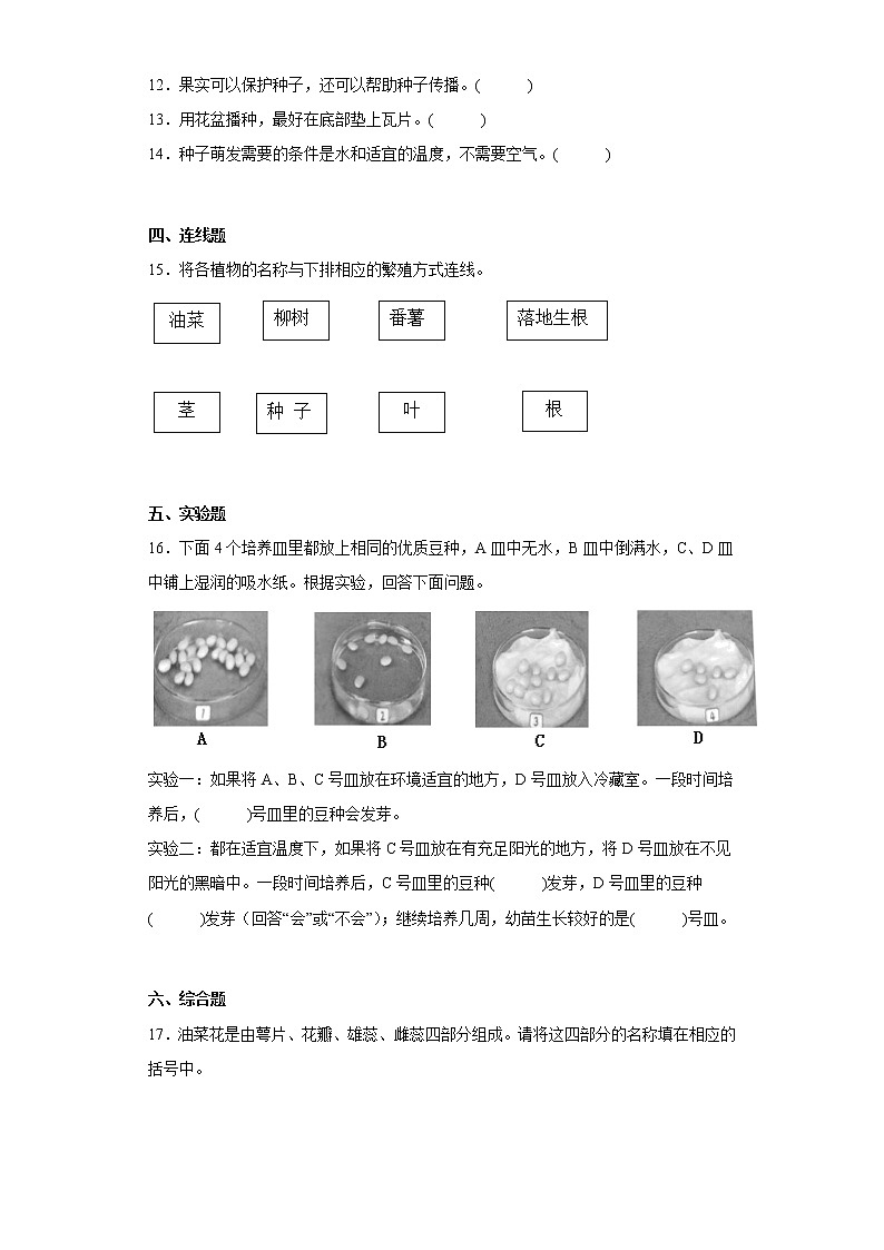 湘科版三年级下册科学第五单元 植物的一生 练习卷 (含答案)02