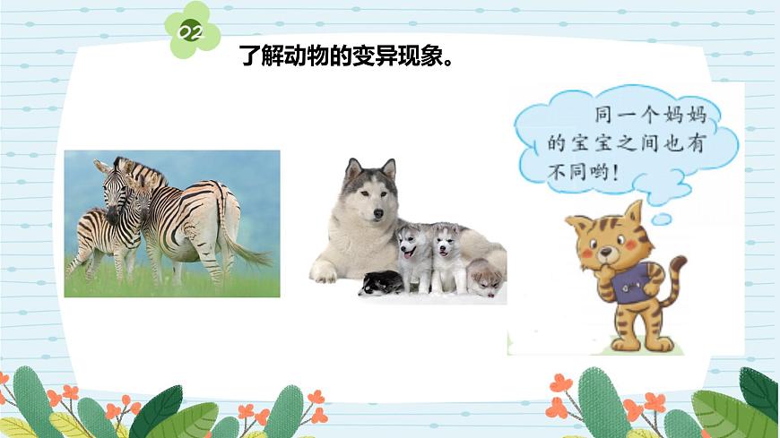 蘇教版六上第二單元第6課《生物的變異》課件第6頁(yè)