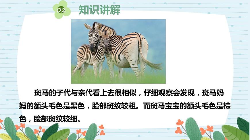 蘇教版六上第二單元第6課《生物的變異》課件第7頁(yè)