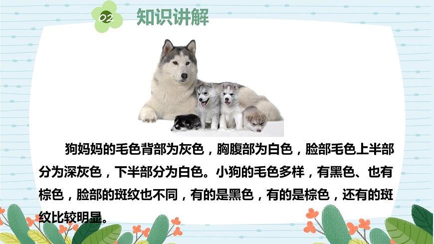 蘇教版六上第二單元第6課《生物的變異》課件第8頁(yè)