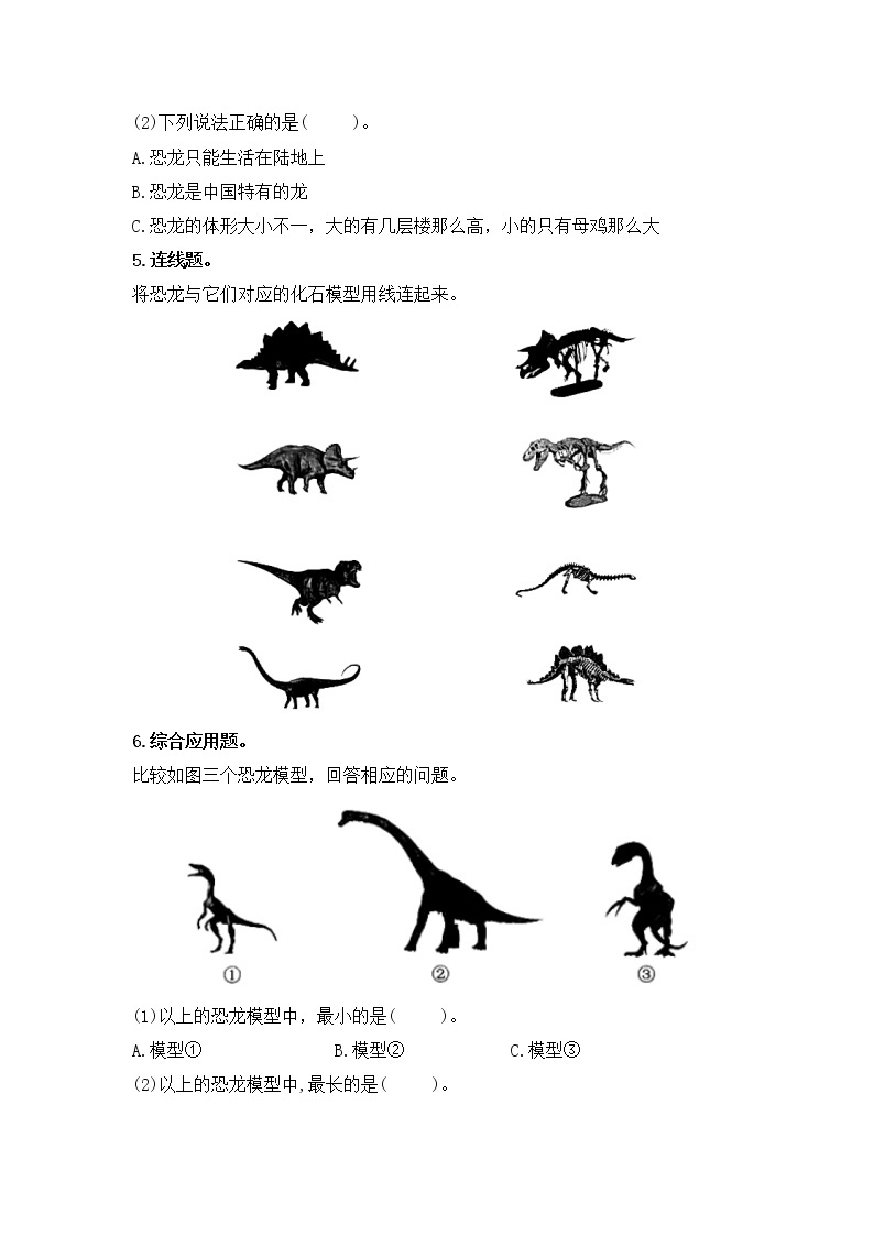 3.8消失的恐龙（课件+练习）苏教版科学六年级上册02