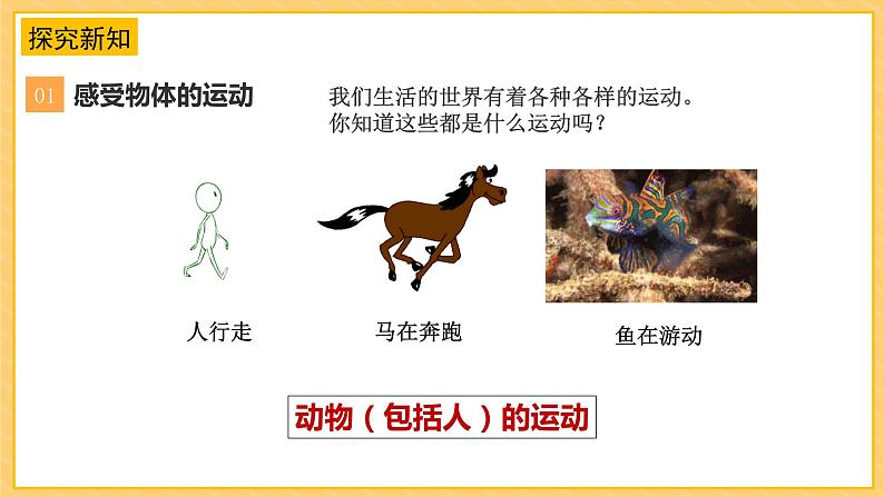 2.5运动与位置(课件)苏教版科学四年级上册第6页