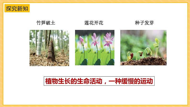 2.5运动与位置(课件)苏教版科学四年级上册第7页