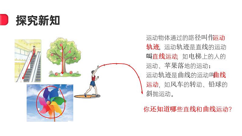2.6不同的运动(课件)苏教版科学四年级上册第8页