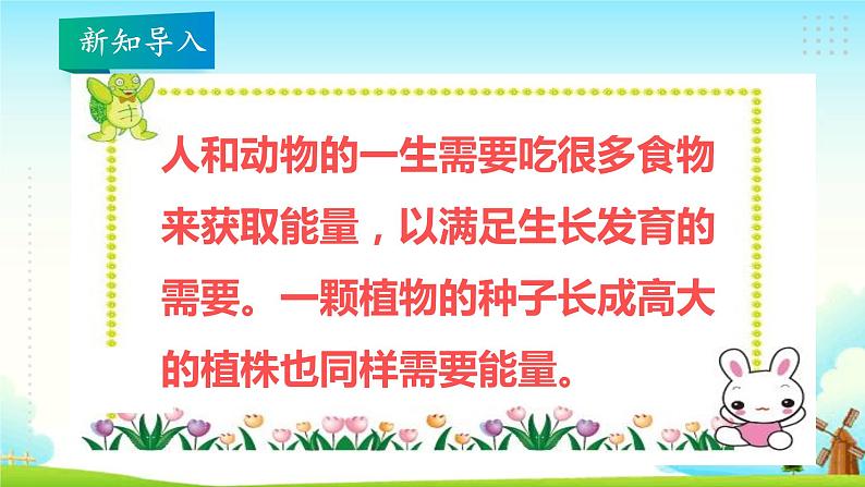 大象版五年级科学下册 4.3 植物的“食物” 课件02