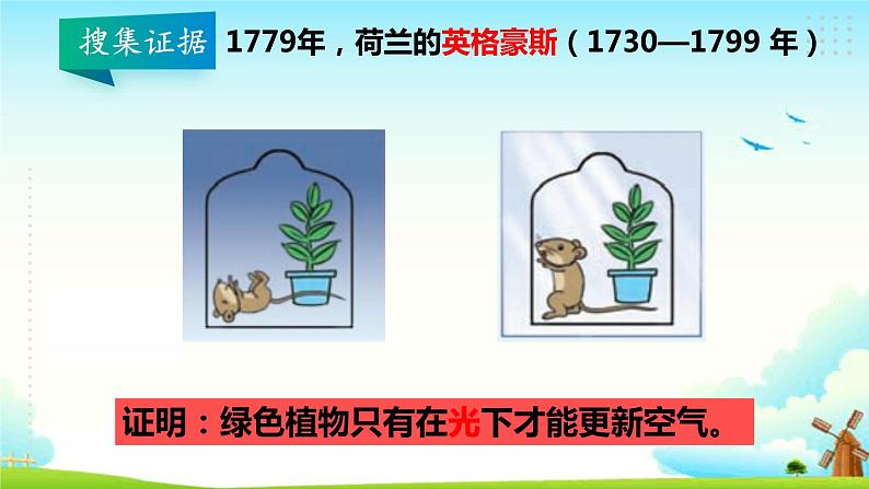 大象版五年级科学下册 4.3 植物的“食物” 课件07