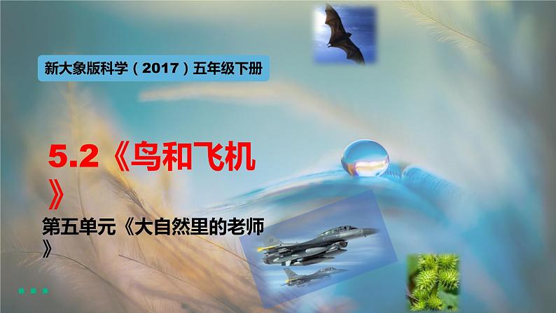 大象版五年级科学下册 5.2鸟和飞机 课件01