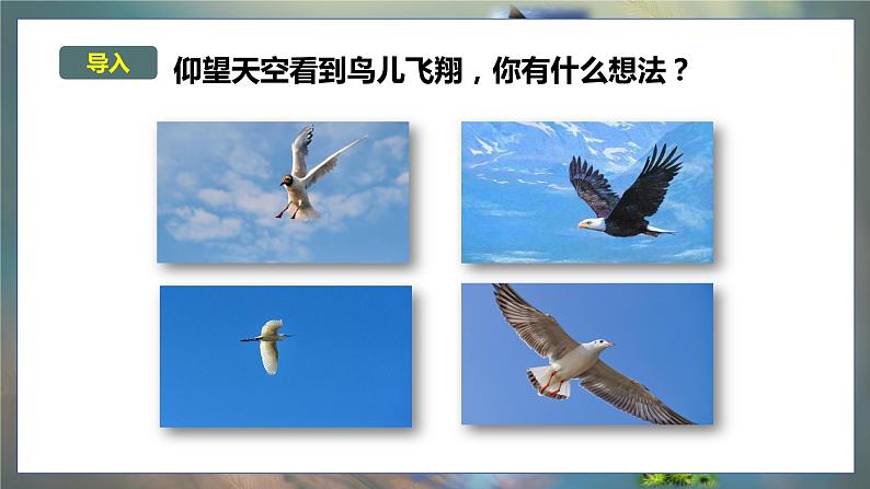 大象版五年级科学下册 5.2鸟和飞机 课件02