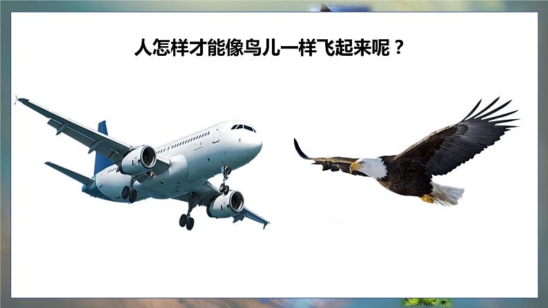 大象版五年级科学下册 5.2鸟和飞机 课件03