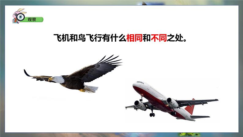 大象版五年级科学下册 5.2鸟和飞机 课件06