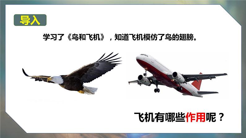 大象版科学(2017)五年级下册5.3《空投包的仿生原型》精品课件第2页