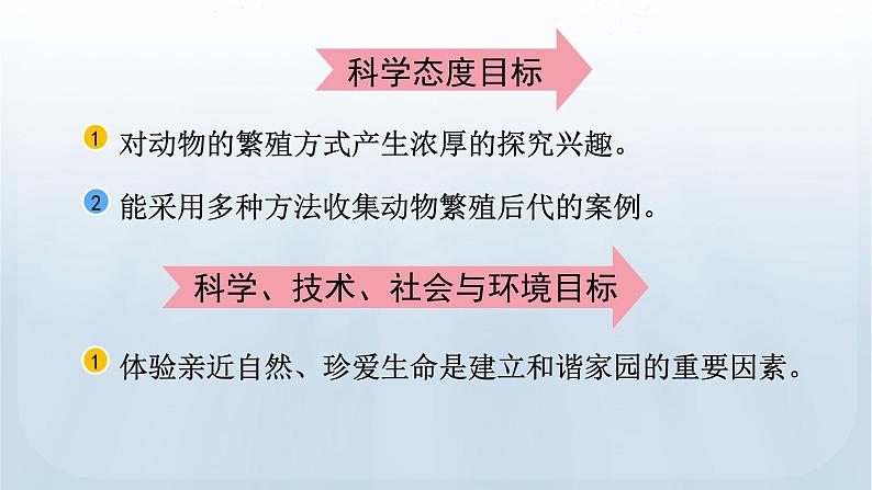 教科版科学三年级下册 2.7 动物的繁殖 课件+视频05