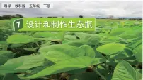 科学五年级下册7.设计和制作生态瓶完整版课件ppt
