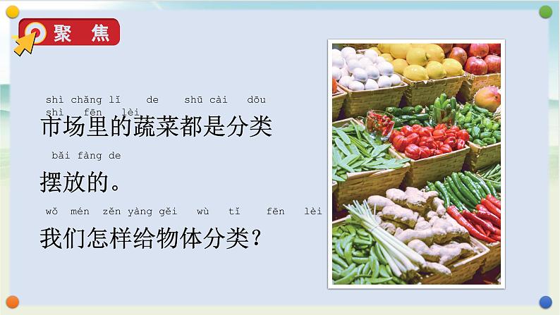 教科版科学一年级下册 1.4 给物体分类 课件+视频06