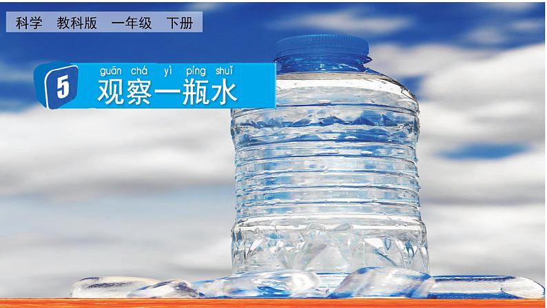 教科版科学一年级下册 1.5 观察一瓶水 课件第1页