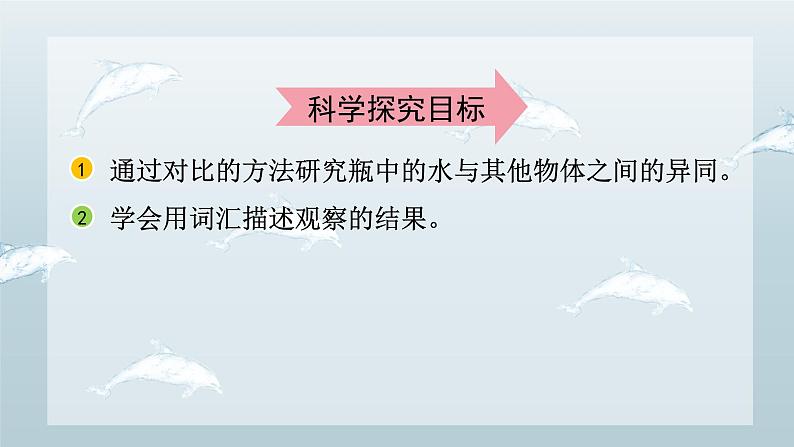教科版科学一年级下册 1.5 观察一瓶水 课件第3页