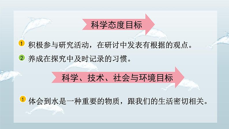 教科版科学一年级下册 1.5 观察一瓶水 课件第4页