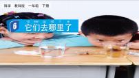 小學(xué)科學(xué)教科版 (2017)一年級下冊6.它們?nèi)ツ睦锪双@獎ppt課件