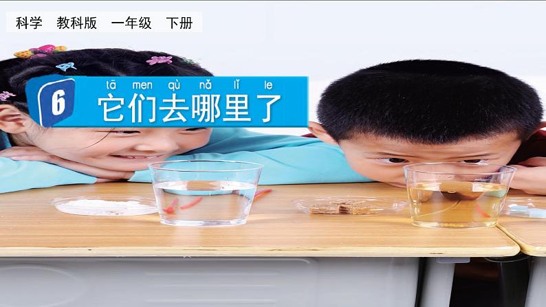 教科版科学一年级下册 1.6 它们去哪里了 课件第1页
