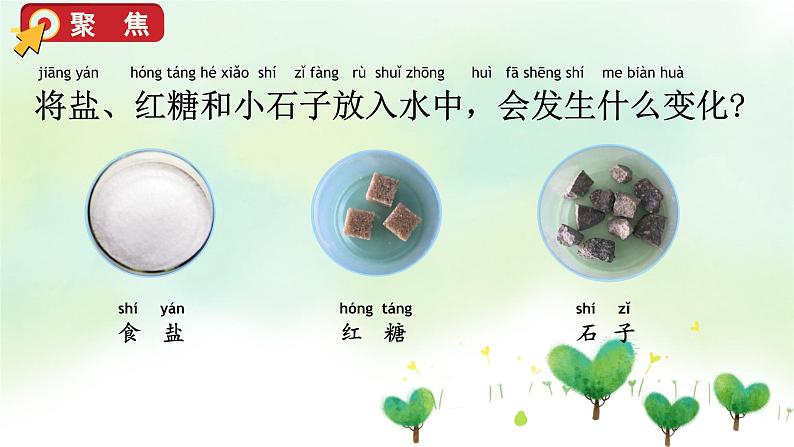 教科版科学一年级下册 1.6 它们去哪里了 课件第5页