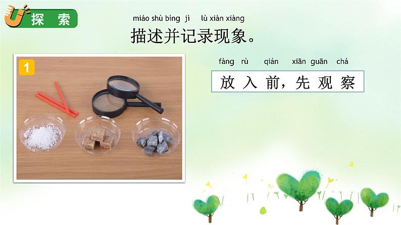 教科版科学一年级下册 1.6 它们去哪里了 课件第6页