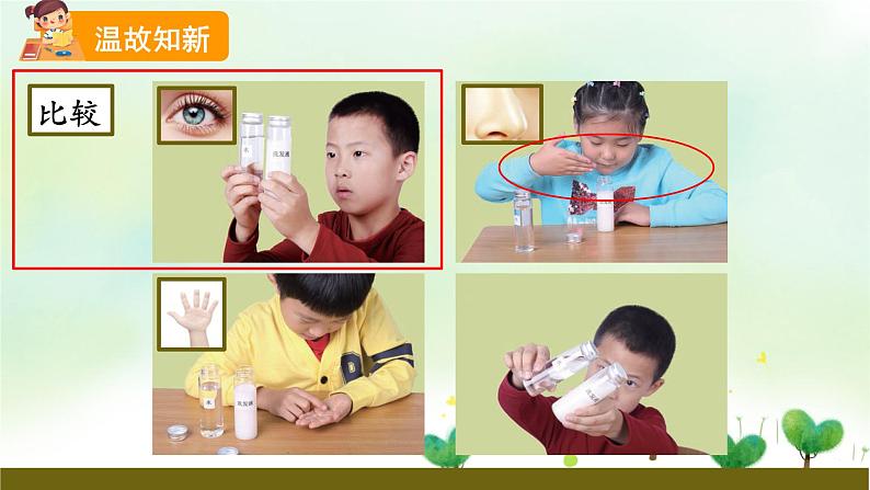 教科版科学一年级下册 1.6 它们去哪里了 课件第7页
