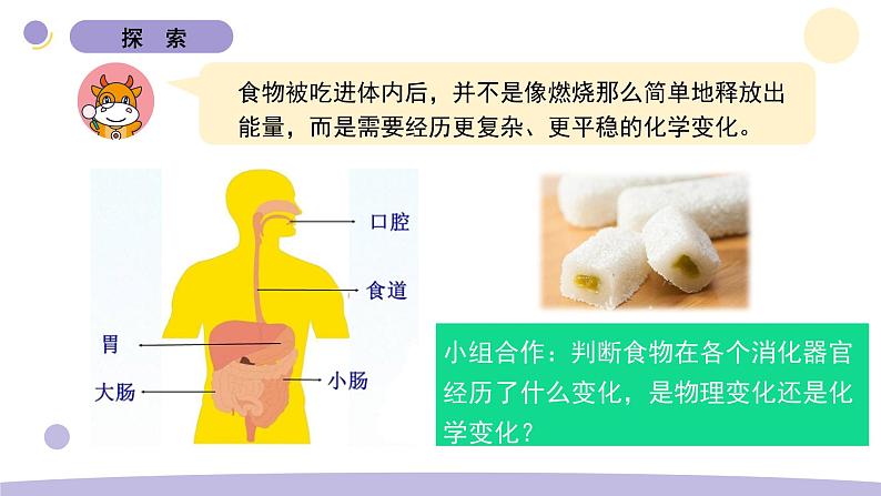 6.生命体中的化学变化第6页