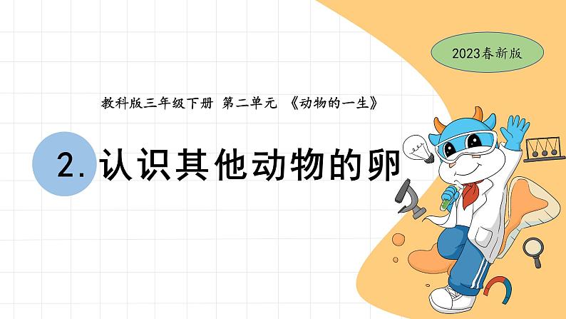2.2 认识其他动物的卵 教科版三年级下册课件+教案(2023春新版)01