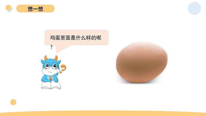 2.2 认识其他动物的卵 教科版三年级下册课件+教案(2023春新版)06
