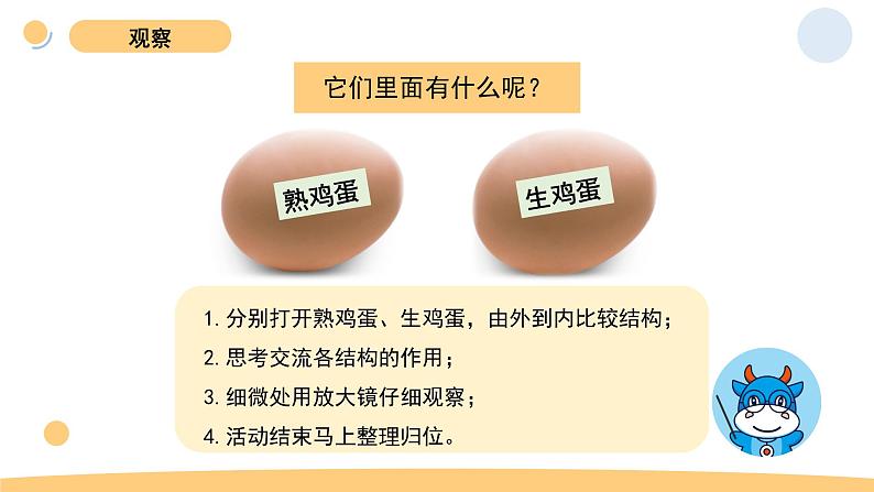 2.2 认识其他动物的卵 教科版三年级下册课件+教案(2023春新版)07