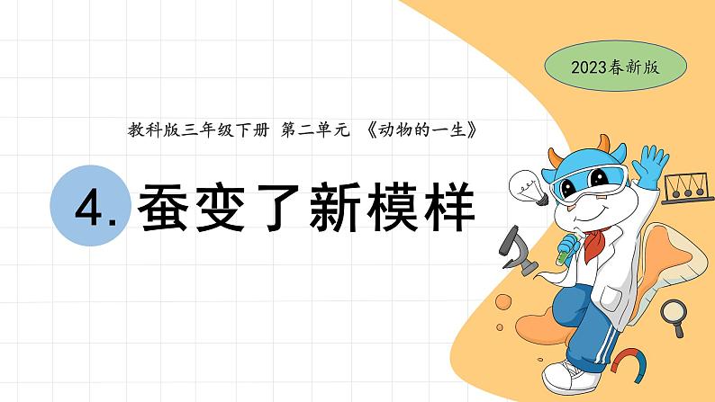 2.4 蚕变了新模样 教科版三年级下册课件+教案(2023春新版)01