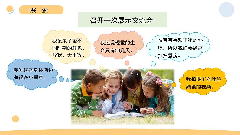 6.蚕的一生第4页