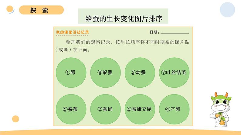 6.蚕的一生第7页