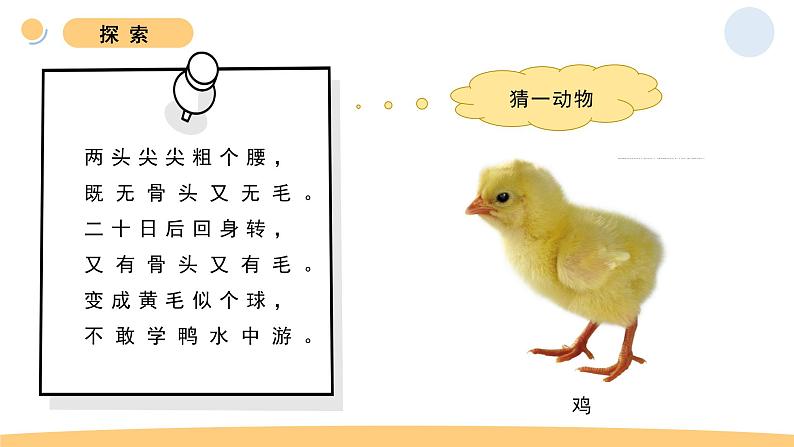 8.动物的一生第5页