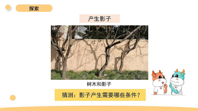 3.《影子的秘密》第3页