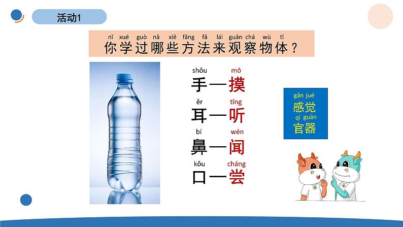 1.5 观察一瓶水 教科版一年级下册课件+教案(2023春新版)03