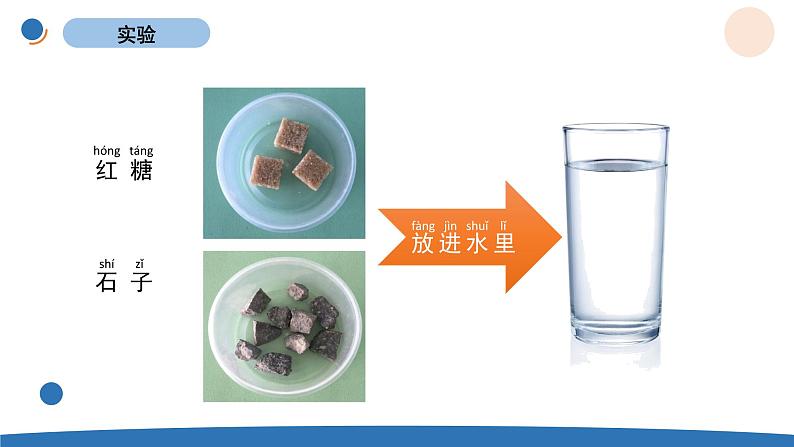 1.6 它们去哪里了 教科版一年级下册课件+教案(2023春新版)02