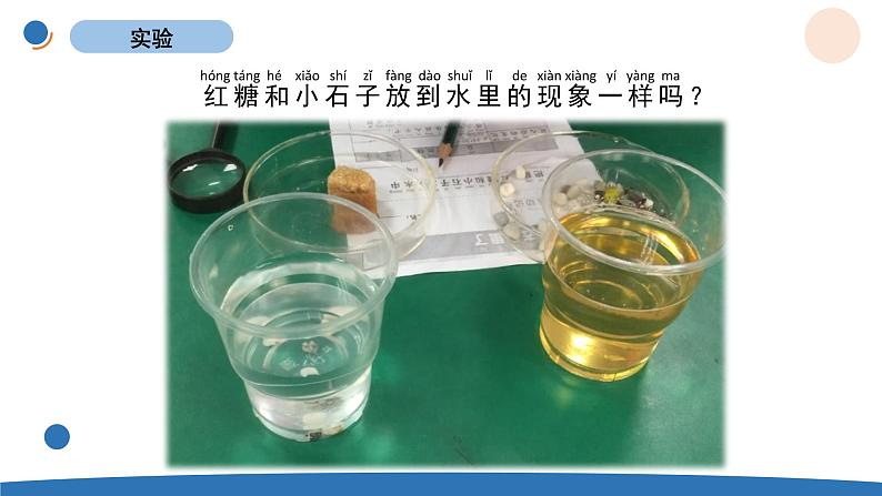 1.6 它们去哪里了 教科版一年级下册课件+教案(2023春新版)05