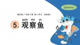 一下2-5《观察鱼》 教科版一年级下册课件＋教案（2023春新版）
