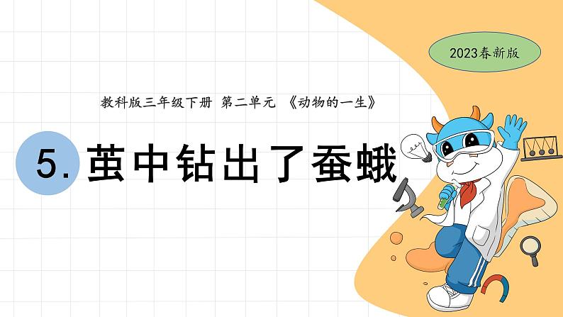 5.茧中钻出了蚕蛾第1页