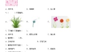 小学科学苏教版 (2017)一年级下册11.多姿多彩的植物综合训练题
