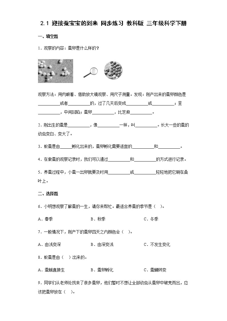 教科版科学三年级下册2.1迎接蚕宝宝的到来 同步练习(含答案)第1页