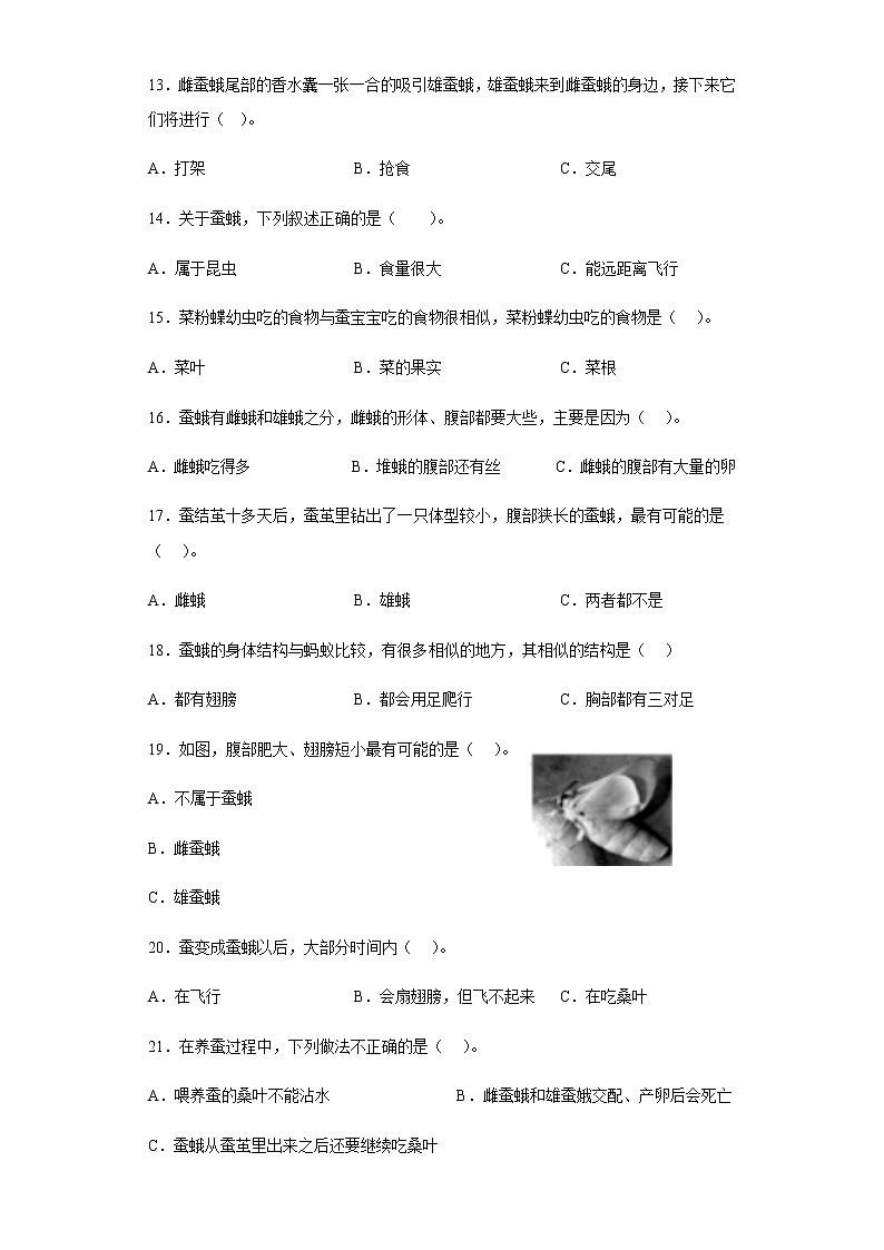 教科版科学三年级下册2.5茧中钻出了蚕蛾 同步练习(含答案)第2页