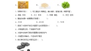 小学科学苏教版 (2017)三年级下册1 种子发芽了课时训练