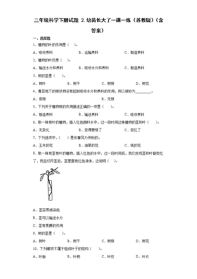 苏教版科学三年级下册1.2幼苗长大了 同步练习(含答案)第1页