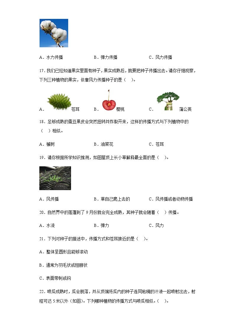 教科版科学四年级下册 1.7 种子的传播 同步练习(含答案)03