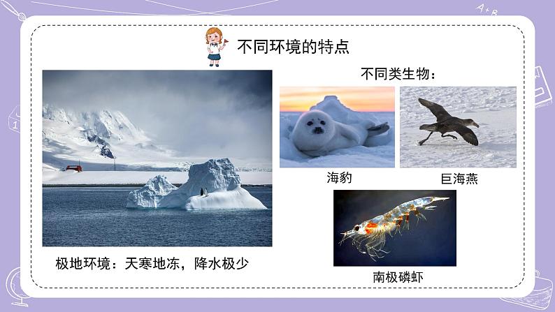 15.多样的生物 课件第6页