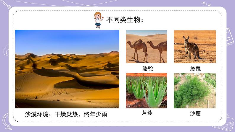 15.多样的生物 课件第8页